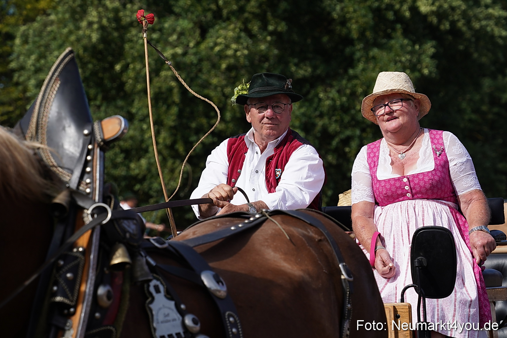 Pferde und Fohlenschau 2022 0226 